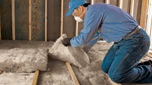 Best Insulation for New Construction  in Lakeland Highlands, FL