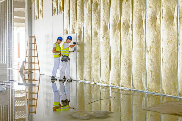 Best Garage Insulation  in Lakeland Highlands, FL